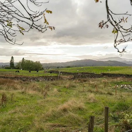 Moss בית נופש